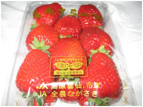 日本留學心得 日本國產的草莓